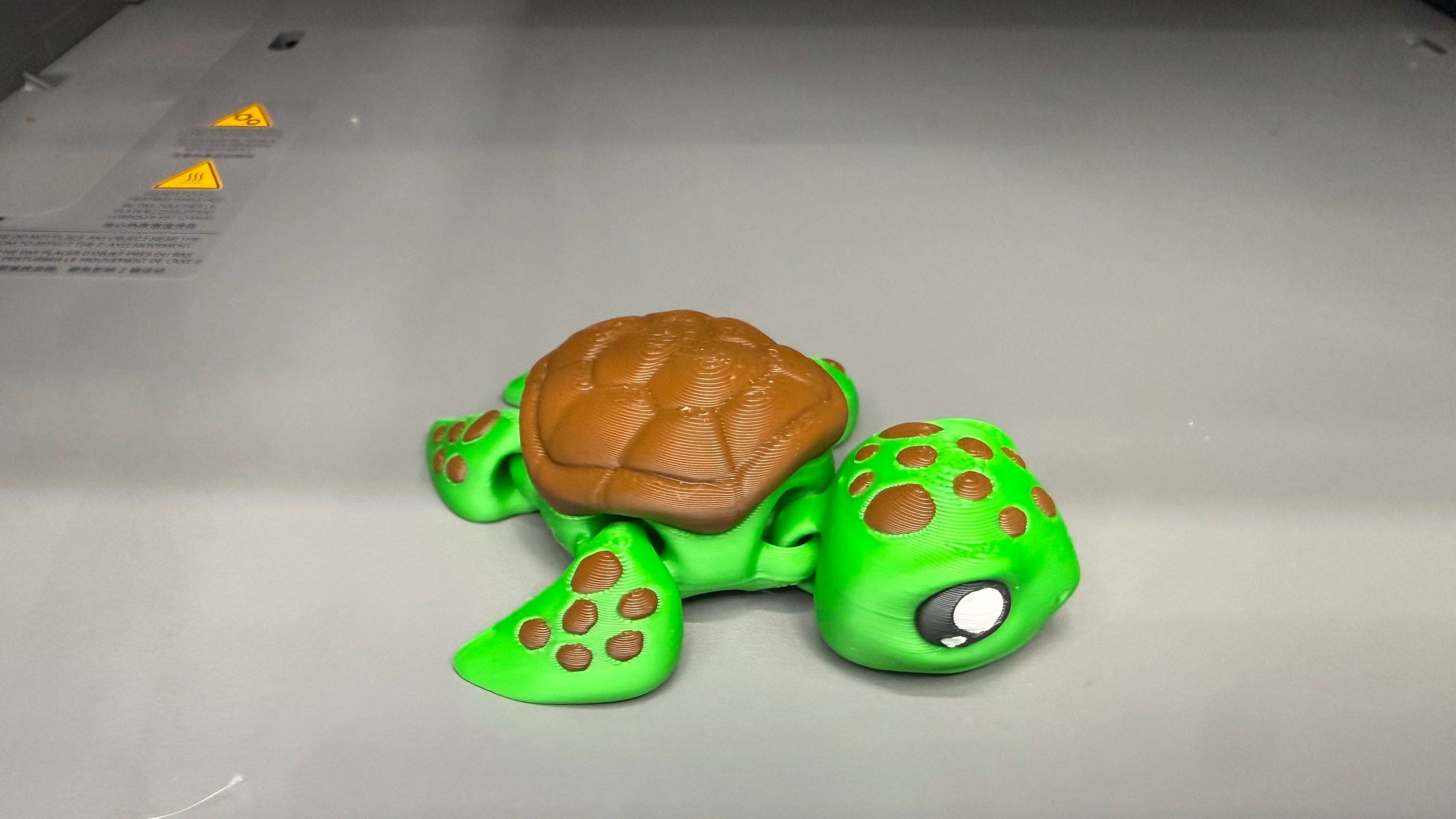 Sea turtle fridge magnet