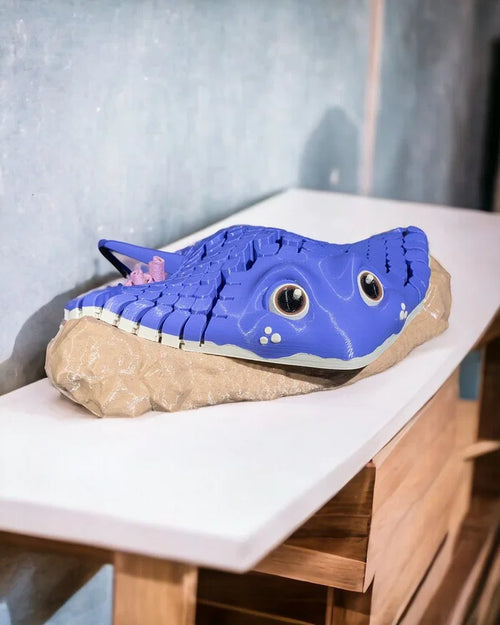 ray