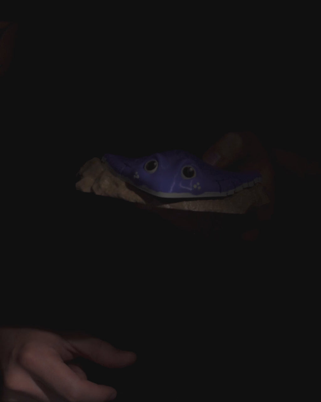 ray